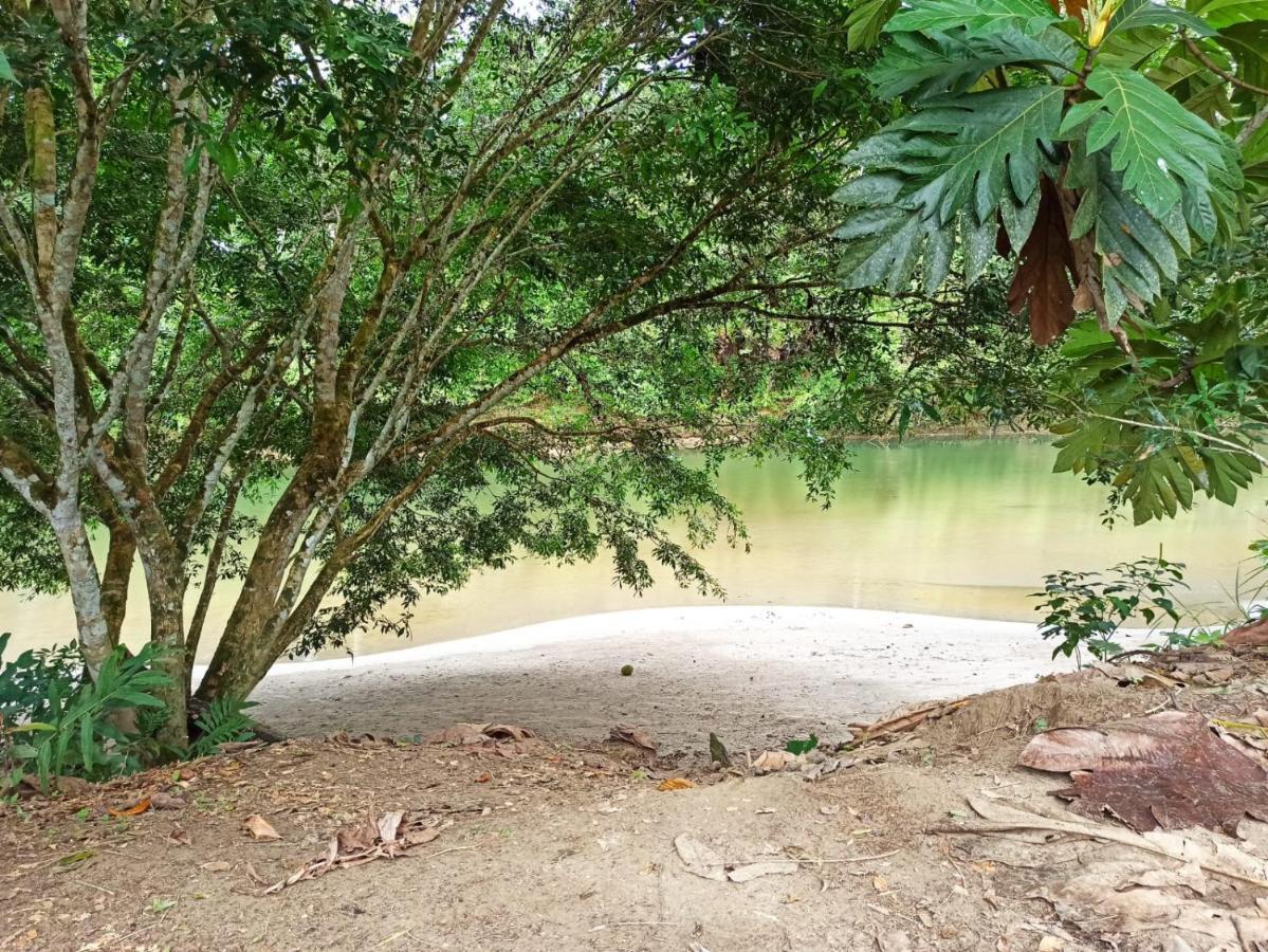 Mariana Miller Lodge Puerto Misahuallí Eksteriør bilde