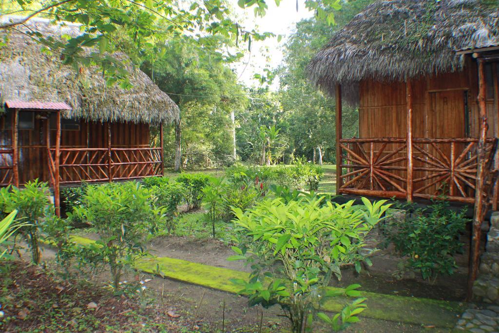 Mariana Miller Lodge Puerto Misahuallí Eksteriør bilde